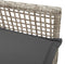 vidaXL - Ligbedden - 2 - stuks - met - Kussens - Lichtgrijs - Poly - Rattan