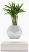 LYFE Planter - Zwevende plant - Wit