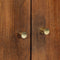vidaXL - Hoogkast - 60x33x100 - cm - Massief - Houten - Mango