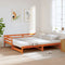 vidaXL - Slaapbank - met - onderschuifbed - 80x200 - cm - massief - grenenhout