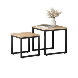 SoBuy FBT42-N - Set van 2 bijzettafels - Max. 20KG - 50 x 50 x 50 cm - Houtkleur (2 stuks)