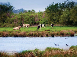 Customize-it - Polder 70x50cm Tuinschilderij