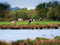Customize-it - Polder 70x50cm Tuinschilderij