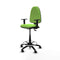 Piqueras y Crespo B1D01RN - Bureaustoel - Hoogteverstelbaar met armleuning - Pistache