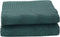 vidaXL - Tenttapijt - 5,5x2,5 - m - groen
