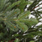 Black Box Trees Chir Kunstkerstboom - 145x145x230 cm - Groen