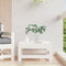 vidaXL - Tuinvoetenbank - massief - grenenhout - wit
