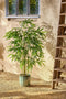 Mica Decorations Bamboe Kunstplant in Pot - H150 x Ø60 cm - Groen
