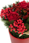 J-Line kunstplant Rozen + Bessen In Pot - cement/kunststof - rood/groen