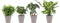 Combibox hippe kamerplanten in Anne Taupe keramiek – ↨ 25cm – ⌀ 12cm
