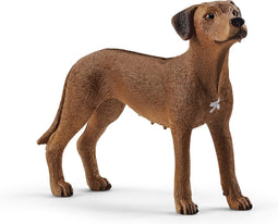 schleich FARM WORLD - Rhodesische ridgeback - 13895