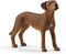 schleich FARM WORLD - Rhodesische ridgeback - 13895