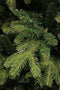 Black Box Trees Brampton Kunstkerstboom Slim - H185 x Ø114 cm - Groen
