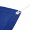 vidaXL - Tenttapijt - 200x200 - cm - HDPE - blauw