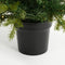 Black Box Trees Flachau - Kunstkerstboom met 40 LED Verlichting - H90 x Ø66 cm - Groen