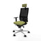 Piqueras y Crespo 1D086N2 - Bureaustoel - Hoofdsteun - Groen