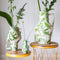 Return to Sender | Vaas Medium 30 cm Jungle print handgeschilderd upside down met handvat - Bloemenvaas