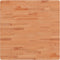 vidaXL - Tafelblad - vierkant - 70x70x1,5 - cm - massief - beukenhout