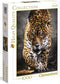 Clementoni - Puzzel - 1000 Stukjes - Walk of the Jaguar - Puzzel Voor Volwassenen - High Quality Collection