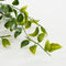 Mica Decorations Ficus Kunst Hangplant - H81 cm - Onderhoudsvrij - Groen