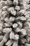 Black Box medford kerstboom groen frosted tips 710 maat in cm: 215x114