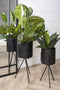 Plant Pot Set Pedestal XL Iron Q1-21