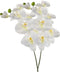 Emerald Kunstbloem Orchidee - 80 cm - wit - losse tak - kunst zijdebloem - Phalaenopsis
