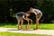 Outdoor Play Bowlen - Bowling - Berkenhout - 9 kegels 2 ballen - vanaf 3 jaar