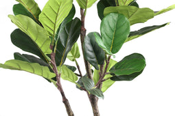 PTMD Tree Green Fiddle Leaf Fig In Black Pot Small