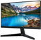 Samsung S24A400VEU - Monitor - 24
