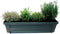 Mix van kruiden in ELHO ® Green Basics balkonbak (Living Black) met metalen balkonrek - Mini-Green - Tuinplanten- Hoogte 30 cm