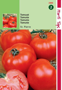 2 stuks - Hortitops - Tomaten St. Pierre grote vollegrondse