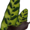 Decorum Calathea Insigne – ↨ 55cm – ⌀ 14cm