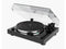 Thorens TD 202 - handmatige platenspeler - snaaraangedreven met USB - zwart