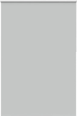 vidaXL - Rolgordijn - verduisterend - 165x230 - cm - stofbreedte - 161,6 - cm