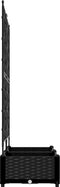 vidaXL - Tuinplanter - met - Trellis - 2 - stuks - Zwart - 80x40x125,5 - cm