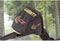 Garrett Euro ACE Package Metaaldetector Zoekdiepte (max.) 150 cm Digitaal (LCD), Akoestisch 99616
