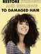 SheaMoisture Strengthen & Restore Conditioner - Jamaican Black Castor Oil - zonder siliconen en sulfaten - 384 ml