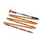 Arva Safety Pack Box Pro - Lawine veiligheid set - Inclusief Neo BT Pro pieper Guide 260 sonde Axe schep