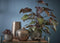 Mica Decorations Gabriel Bloempot - H20 x Ø25 cm - Keramiek - Brons