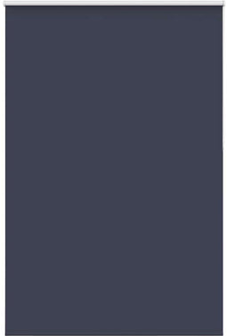 vidaXL - Rolgordijn - verduisterend - 165x230 - cm - stofbreedte - 161,6 - cm - blauw
