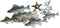 Wanddecoratie Home ESPRIT Blauw Gouden Mediterrane Vissen 100 x 5 x 46 cm