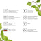 Bioplastic Lunch box Bordeau - Bordeau