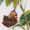 Thea Gouverneur - Borduurpakket met telpatroon - 2030A - Voorgesorteerde DMC Garens - Roos Redoute - Aida - 26 cm x 38 cm - DIY Kit