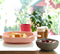 Béaba Silicone Maaltijdset - Kinderservies - 4-delig - Zuignap Kom, Bord & Lepel - Roze