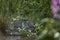 GARDENA Hydrofoorpomp 4600 Silent - Automatische tuinwaterpomp - Stille technologie