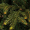 Black Box Trees Frasier Kunstkerstboom met LED verlichting - H305 cm - Groen