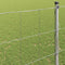 vidaXL - Veldhek - 1,4x25 - m - Gegalvaniseerd - Staal