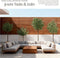 tectake® Kunstmatige Olijfboom Oleand - Kunstplant - Realistische Bladeren en Olijven - Hoogte: 150 cm