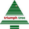 Triumph Tree Bristlecone - Kunstkerstboom - 144 LED-lampjes - H155 x Ø99 cm - Donkergroen